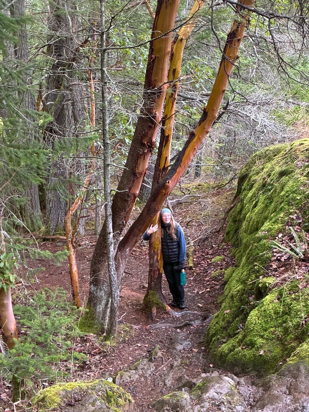 Audrey standing among madrone trees in the forest