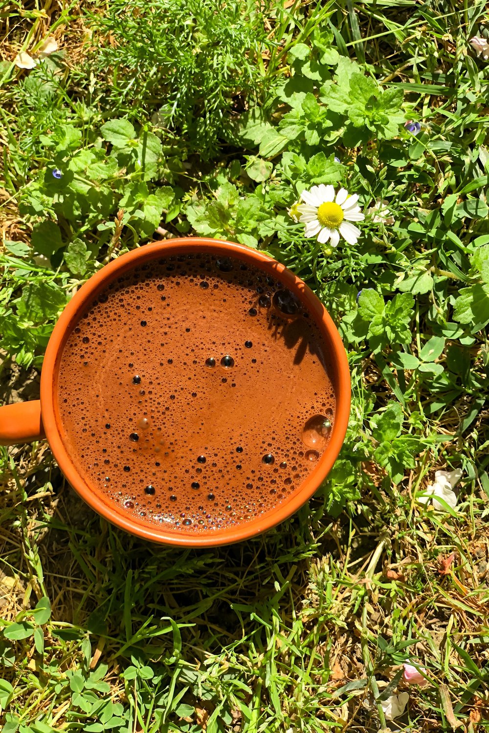 Ceremonial cacao served in a cup in the grass